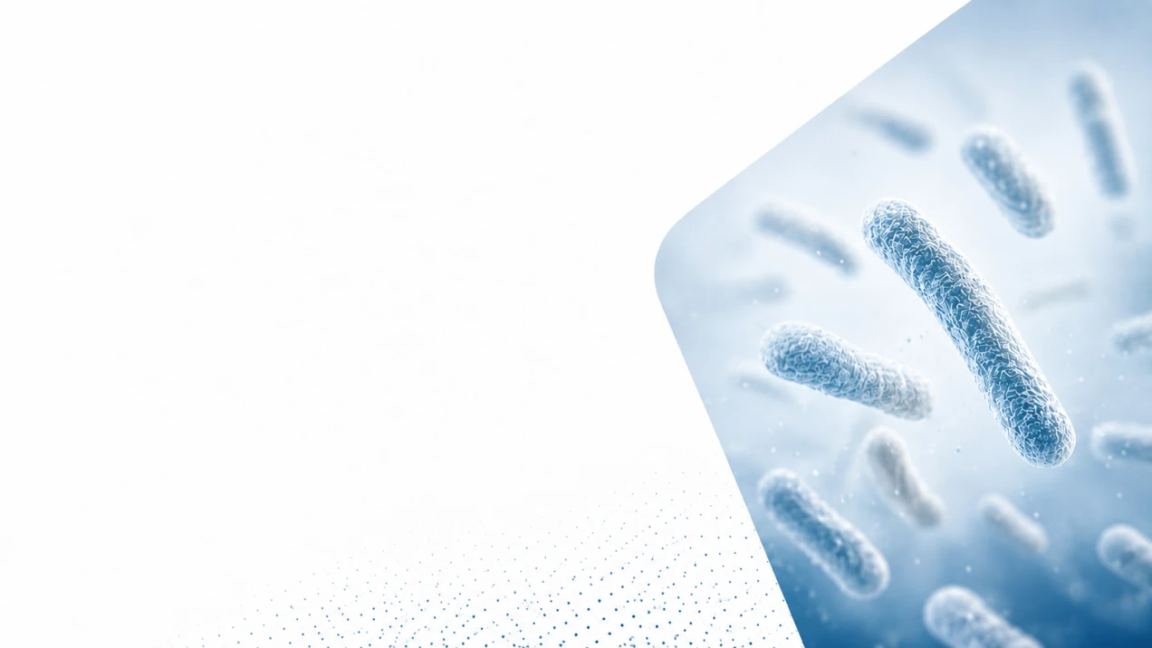 Magnified Limosilactobacillus reuteri bacteria, part of Realize Therapeutics' proprietary LRDR research.